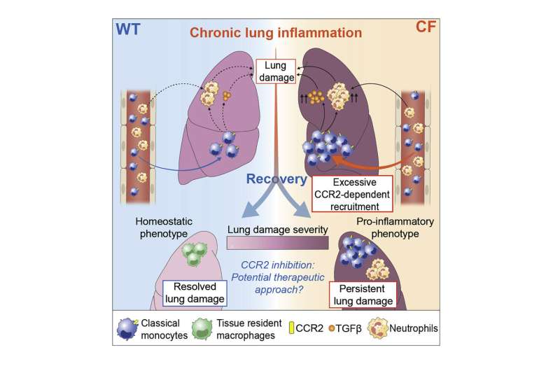 driver of cystic fibro