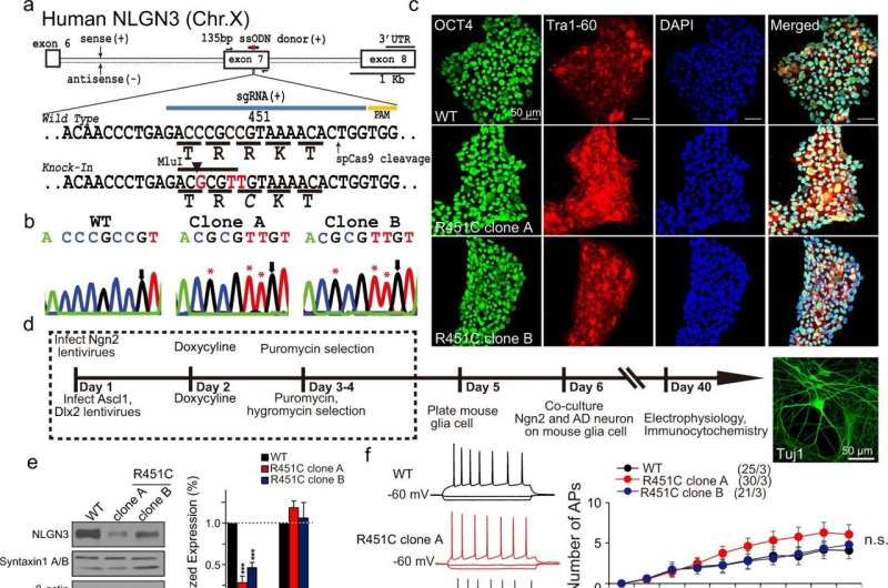 gene mutation leading