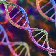 Desarrollan una nueva herramienta basada en CRISPR inserta grandes secuencias de ADN de forma más segura y eficiente